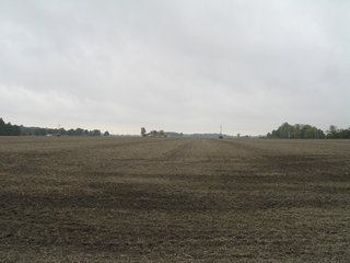 Property photo 9 - 76.8 +/- Acres Mostly Tillable - Land Auction